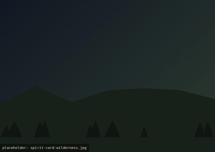 Contemplative wilderness of Southern Illinois placeholder image